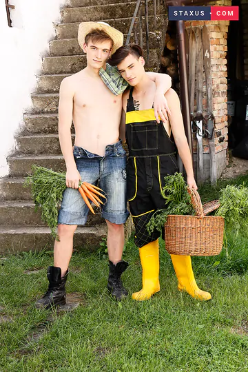 Boys at the farm bareback fucking