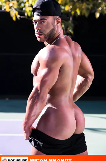 Muscular gay porn stars fucking