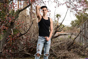 Horny gays fucking in the bushes