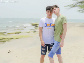 Beautiful gay boys having sex