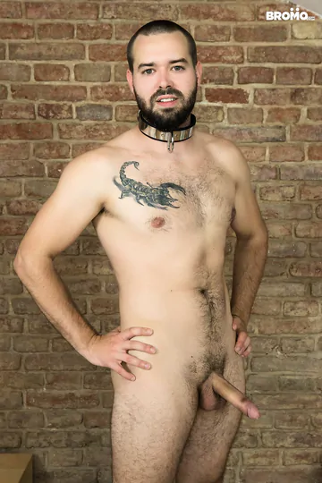 Men with beards having sex