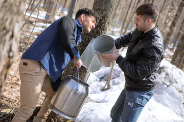 Guys fucking in the winter forest