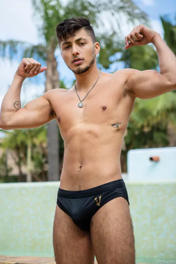 Sexy guys having a threesome