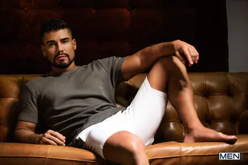 Bearded men having gay sex