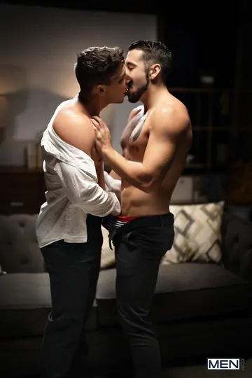 Gay porn stars having sex