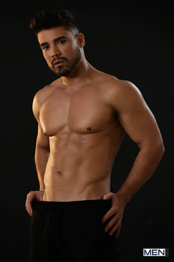 Men with beards having sex