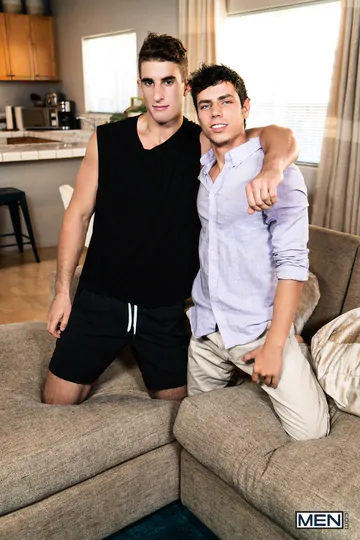 Gays having sex on a sofa