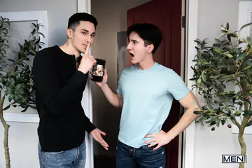 Two gays fucking on a sofa