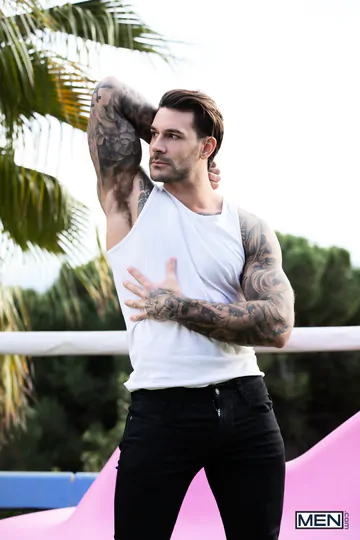 Handsome porn stars having sex