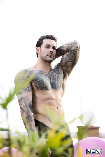 Handsome porn stars having sex