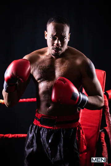 Boxing guys bareback fucking