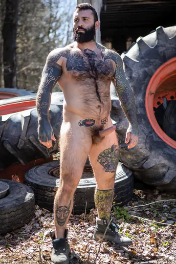 Bears fucking in the forest