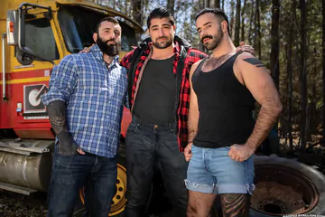 Bears fucking in the forest