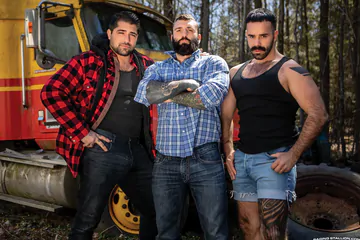 Bears fucking in the forest