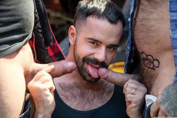 Bears fucking in the forest