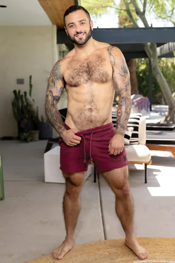 Tattooed men having anal sex