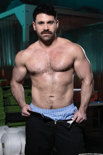 Hairy beefy men having sex