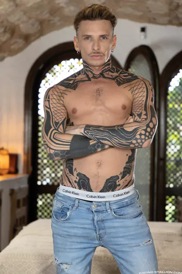 Tattoo covered guy fucking ass