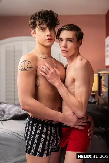 Handsome boys having sex