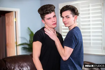 Gay boys having anal sex