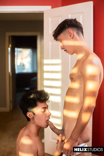 Gay twinks fucking each other