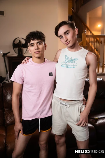 Handsome gay boys having sex