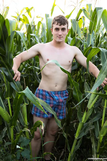 Guy in a corn field gets fucked