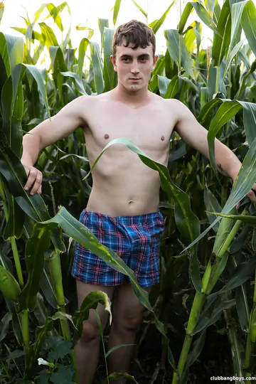 Guy in a corn field gets fucked