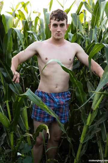 Guy in a corn field gets fucked