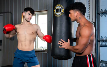 Muscular boxers having sex