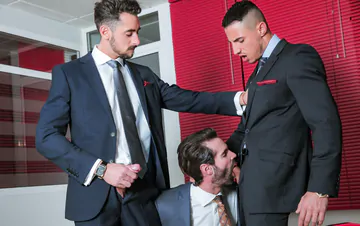 Business men having gay sex