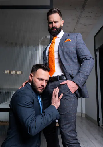 Men with beards having sex