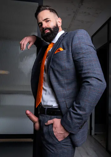 Men with beards having sex