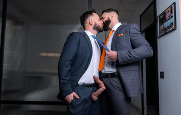 Men with beards having sex