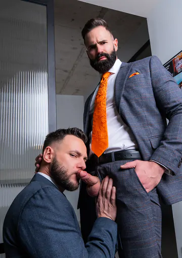 Men with beards having sex