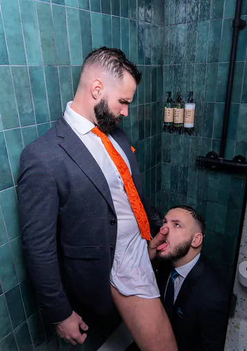 Men with beards having sex