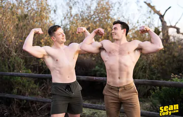 Hunks having sex on a sofa